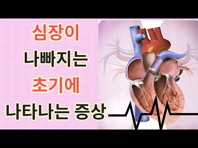 심장암 정보