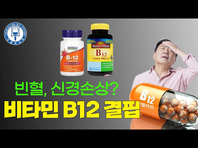비타민 b12 코발라민 정보