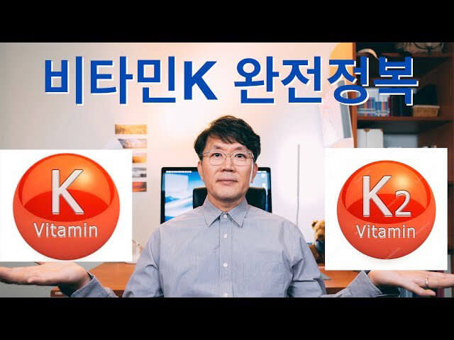비타민 k 정보