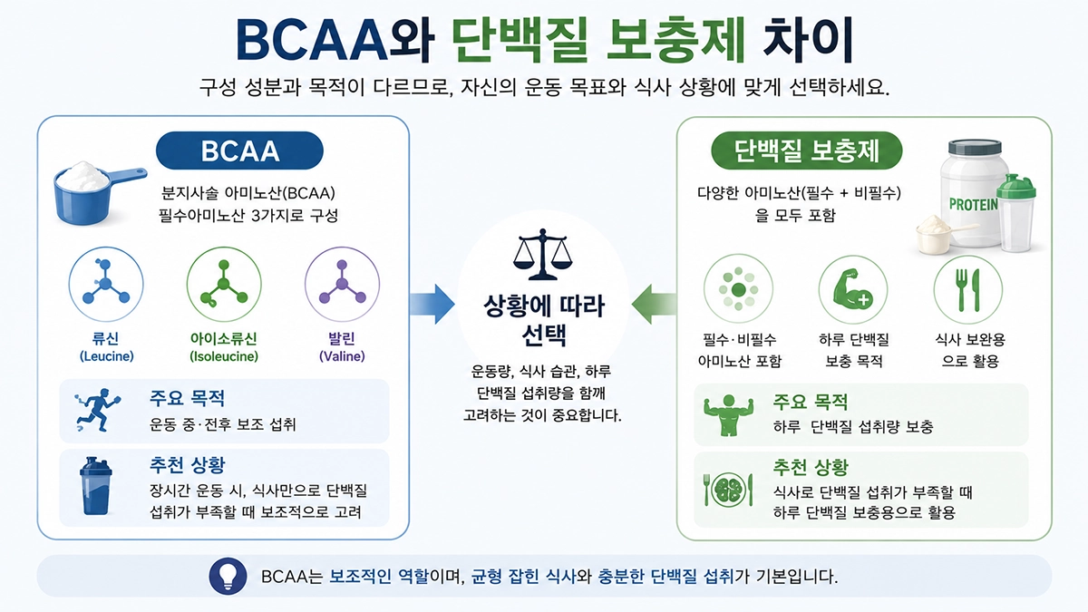 BCAA와 단백질 보충제의 구성과 활용 차이를 비교한 인포그래픽