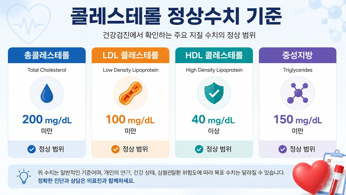 콜레스테롤 정상수치 기준 LDL HDL 중성지방