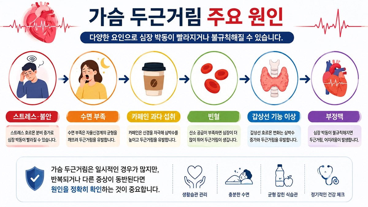 가슴 두근거림 원인 인포그래픽