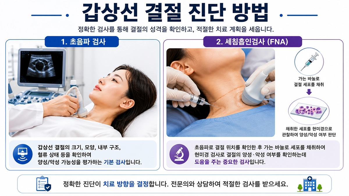 갑상선 초음파 검사와 세침흡인검사