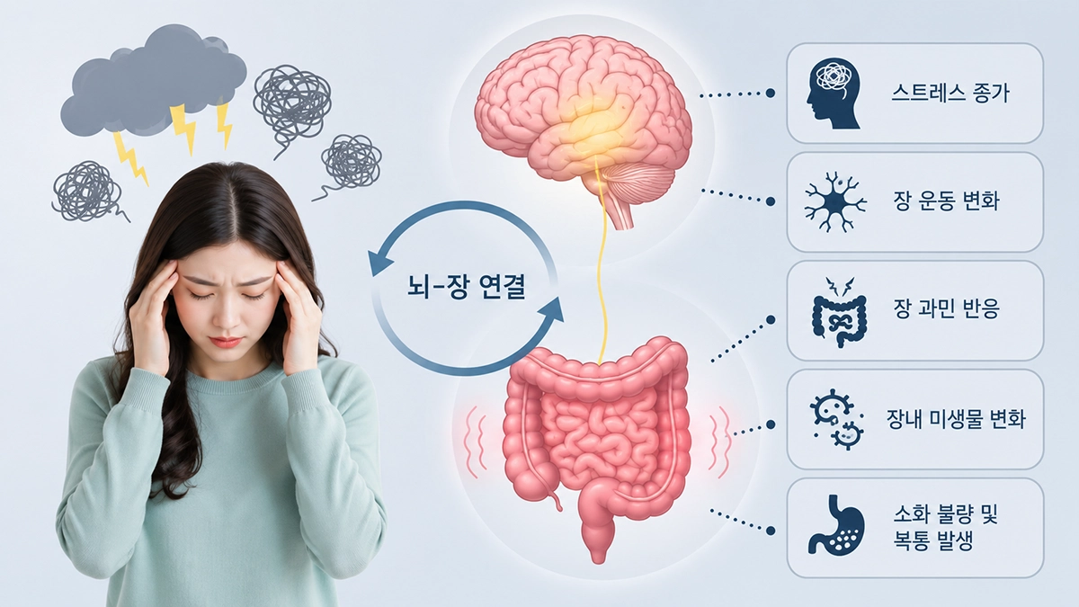 스트레스가 과민성 대장 증후군에 영향을 주는 모습