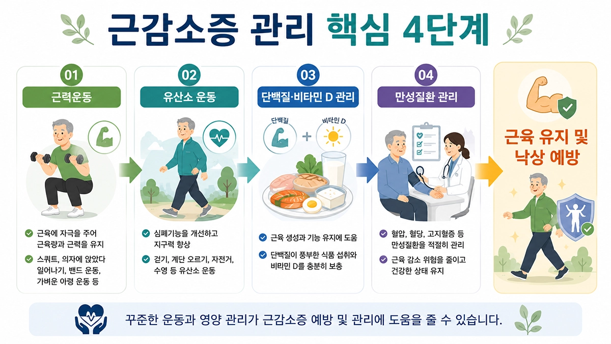 근감소증 치료와 운동 영양 관리 방법
