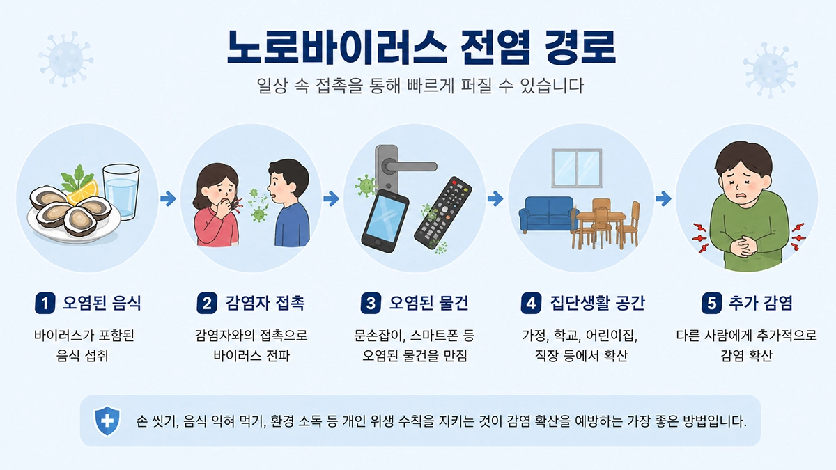 노로바이러스 전염 경로와 감염 위험 요인
