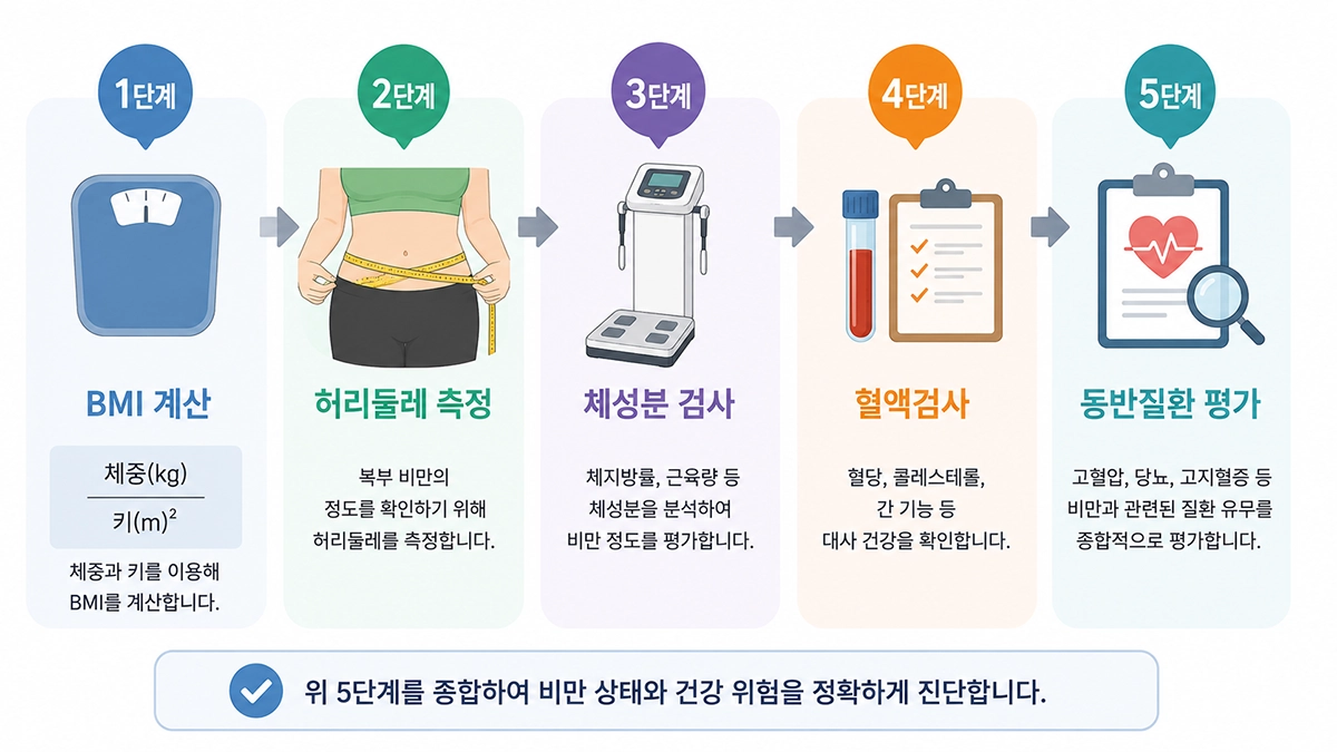 비만 진단 검사 과정