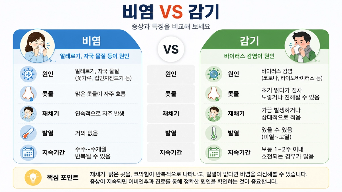 비염과 감기의 차이를 비교한 인포그래픽