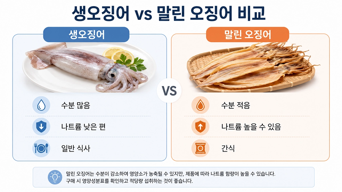 생오징어와 말린 오징어의 영양 특징 비교