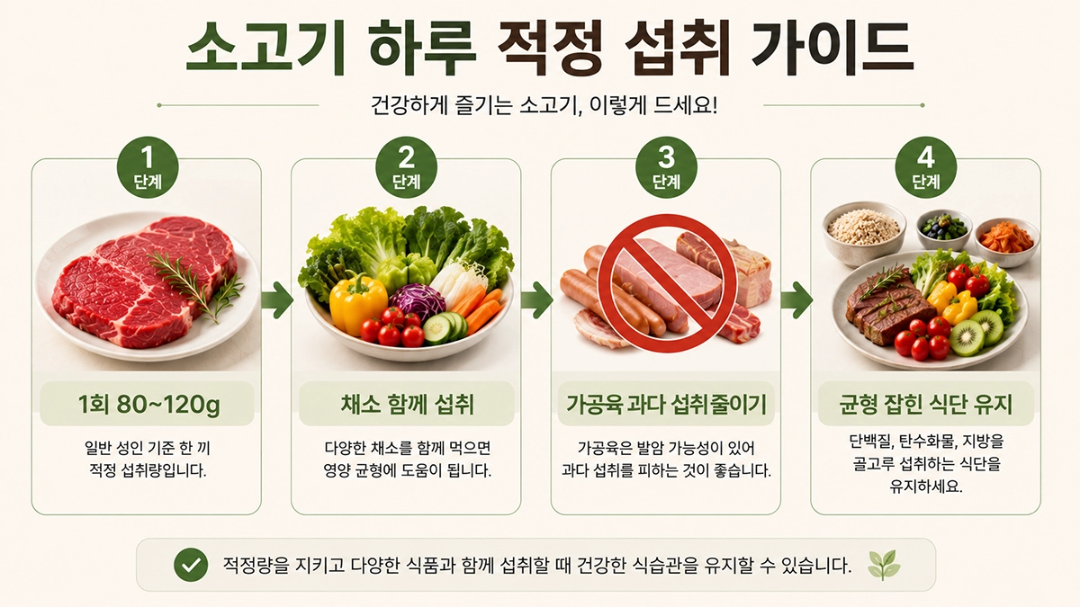 소고기 적정 섭취량과 균형 잡힌 식단 구성