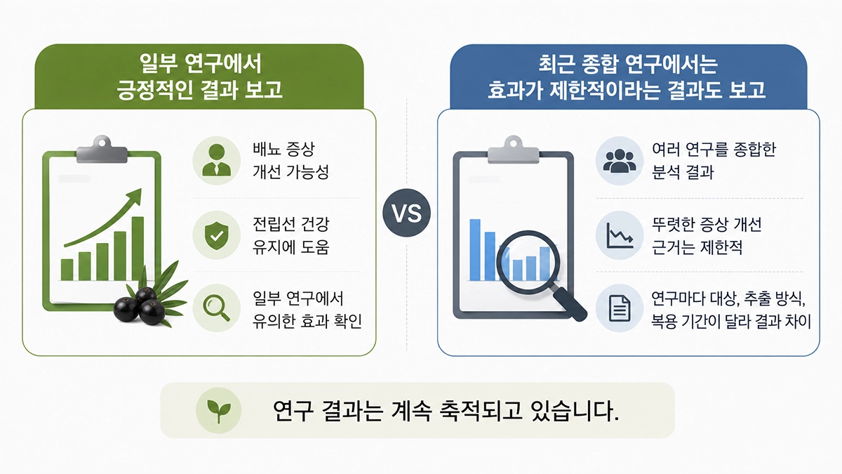 쏘팔메토 연구 결과 비교 인포그래픽