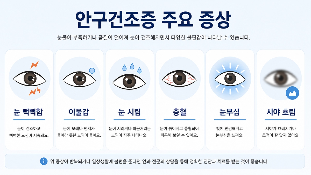 안구건조증 주요 증상 인포그래픽