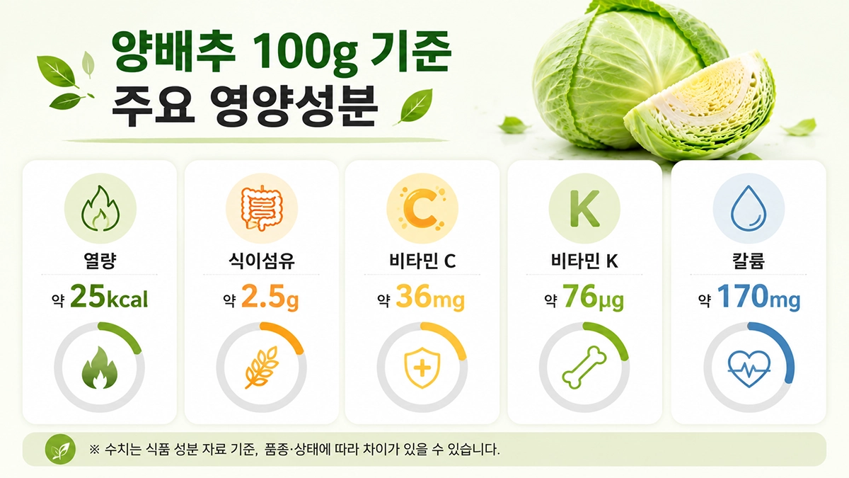 양배추 100g 영양성분 열량 식이섬유 비타민 C 비타민 K 칼륨 함량 정리