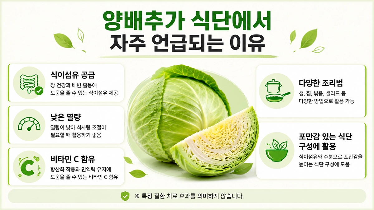 양배추가 식단 관리에 활용되는 이유와 식이섬유, 비타민 C, 낮은 열량 특징 정리