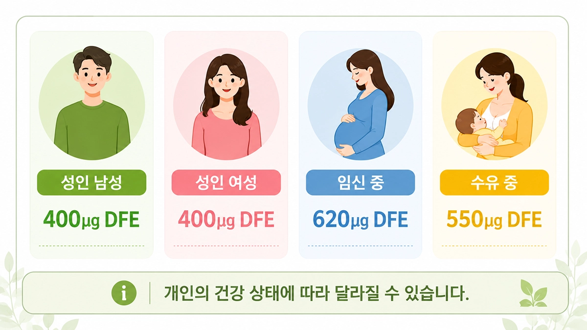 엽산 복용법 하루 권장량 인포그래픽