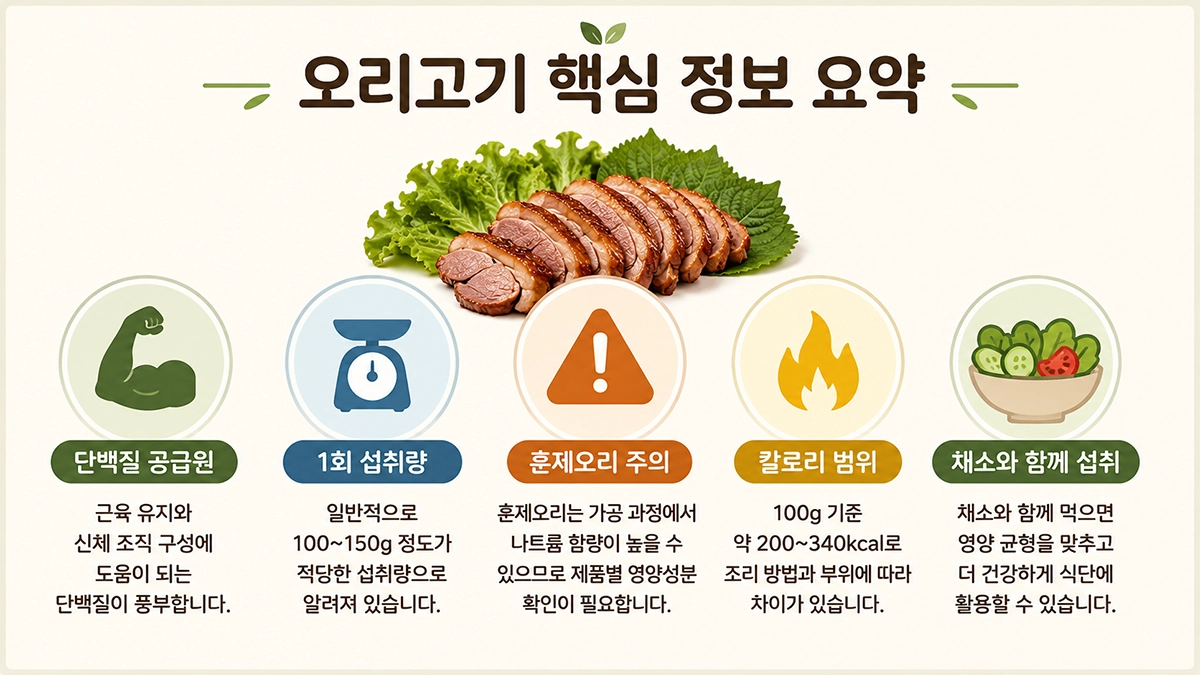 오리고기 영양 특징과 적정 섭취량 요약 인포그래픽