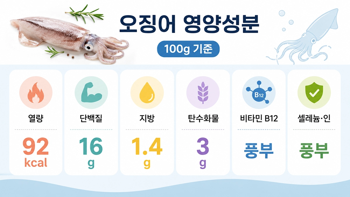 오징어 100g 기준 주요 영양성분 인포그래픽