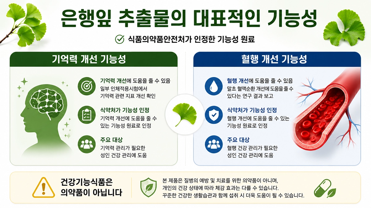 은행잎 추출물 기억력 개선과 혈행 개선 기능성 비교