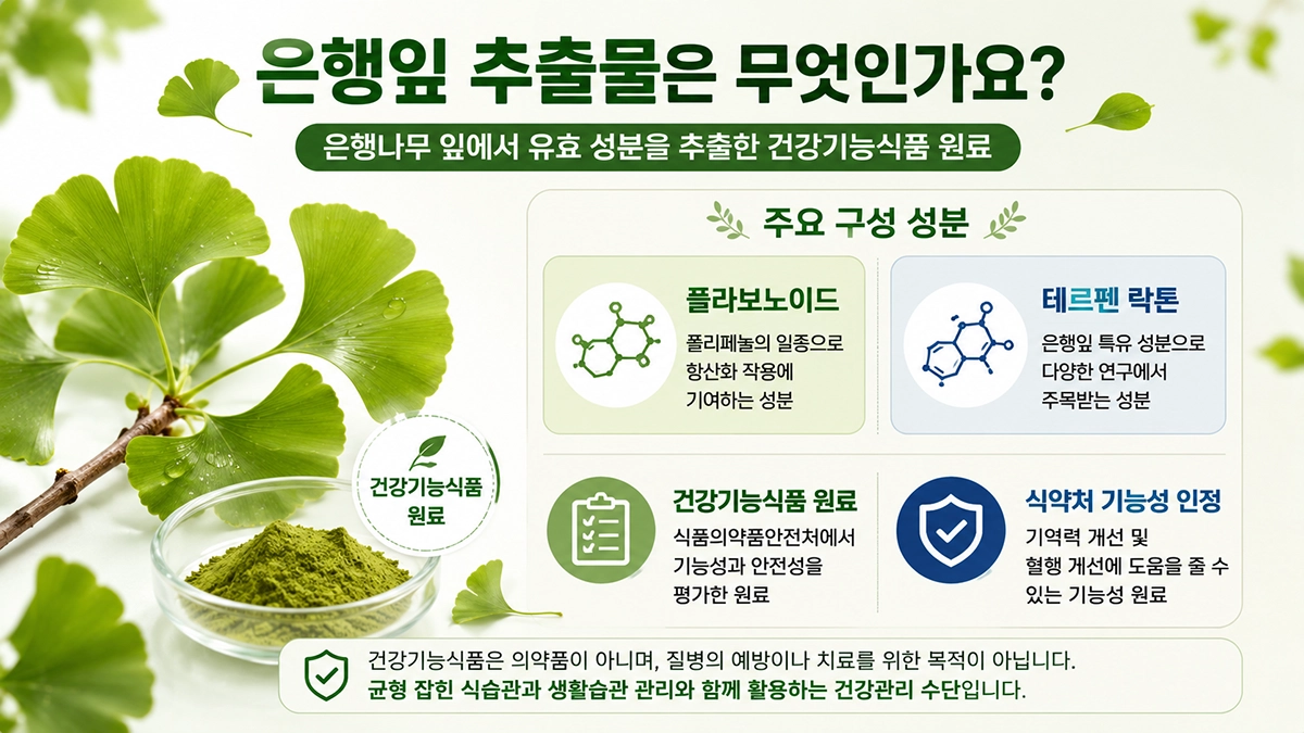 은행잎 추출물 주요 성분 플라보노이드와 테르펜 락톤 설명