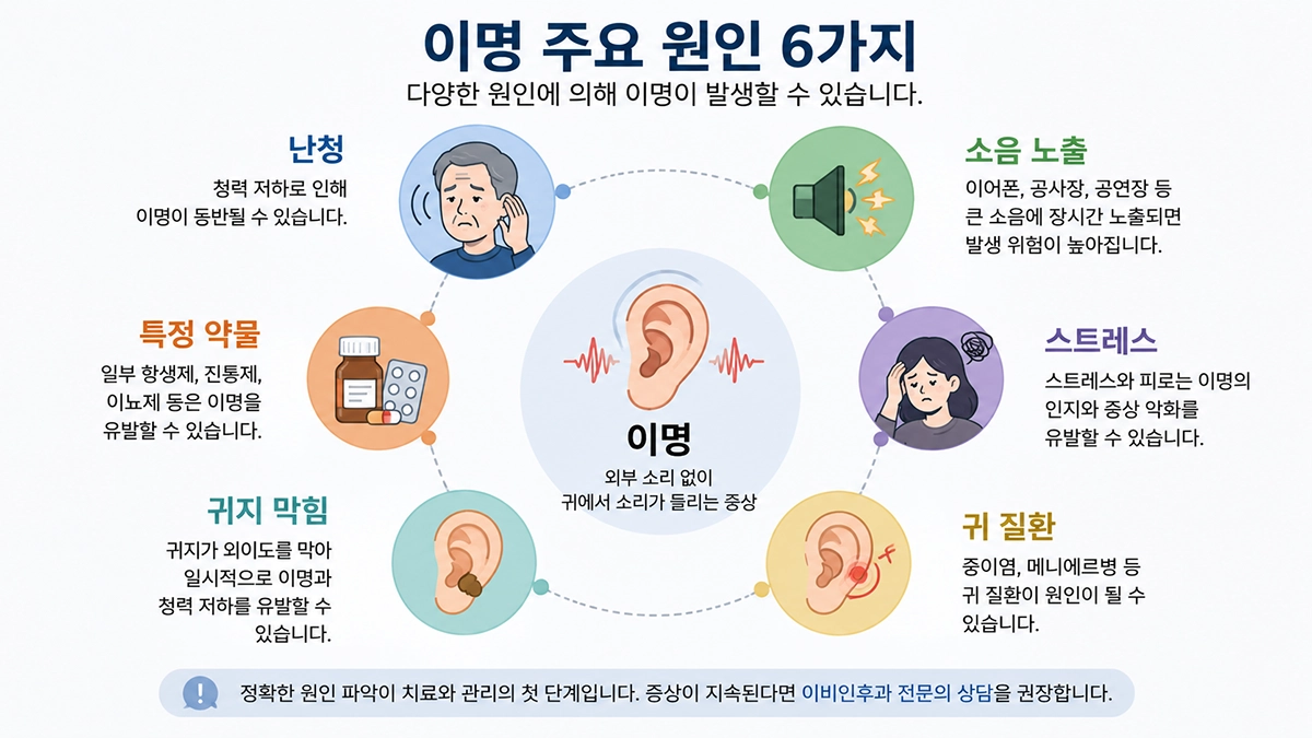 이명 원인 난청 소음 노출 스트레스 인포그래픽