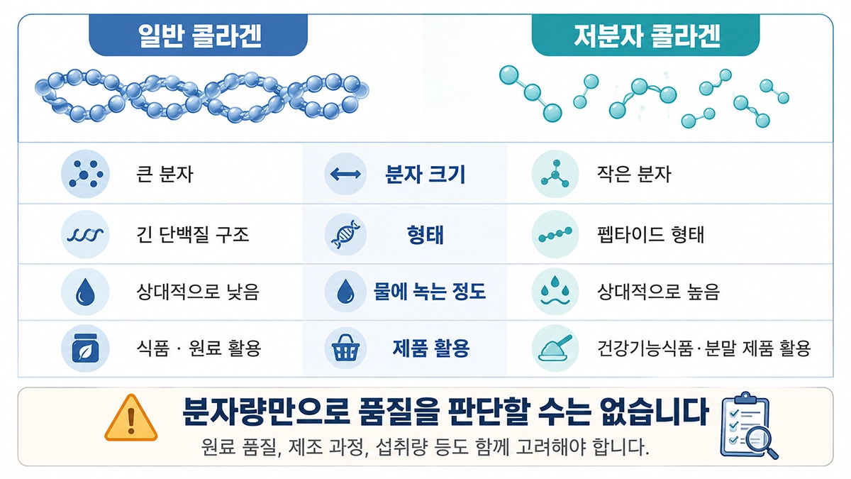 일반 콜라겐과 저분자 콜라겐 차이 비교 이미지