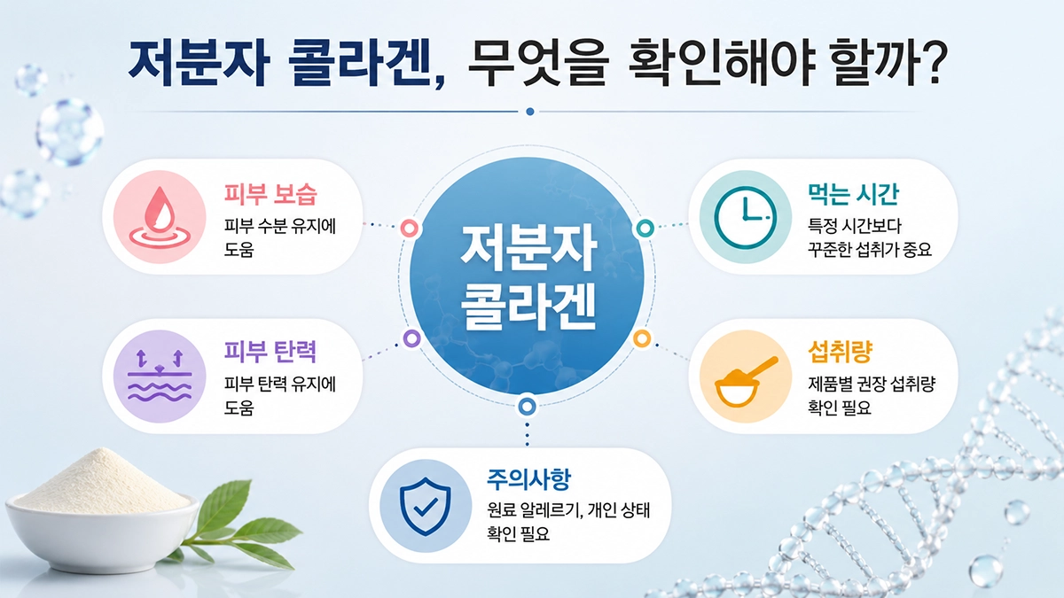 저분자 콜라겐 특징과 연구 결과 핵심 정리 인포그래픽
