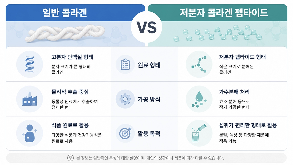 콜라겐 효능과 저분자 콜라겐 펩타이드 비교 인포그래픽