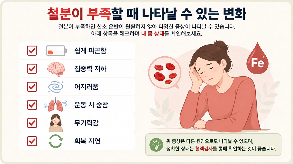 철분 부족 증상 체크리스트와 주요 변화