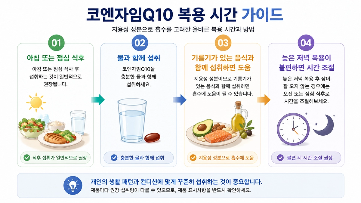 코엔자임Q10 복용시간과 섭취 방법을 단계별로 정리한 이미지