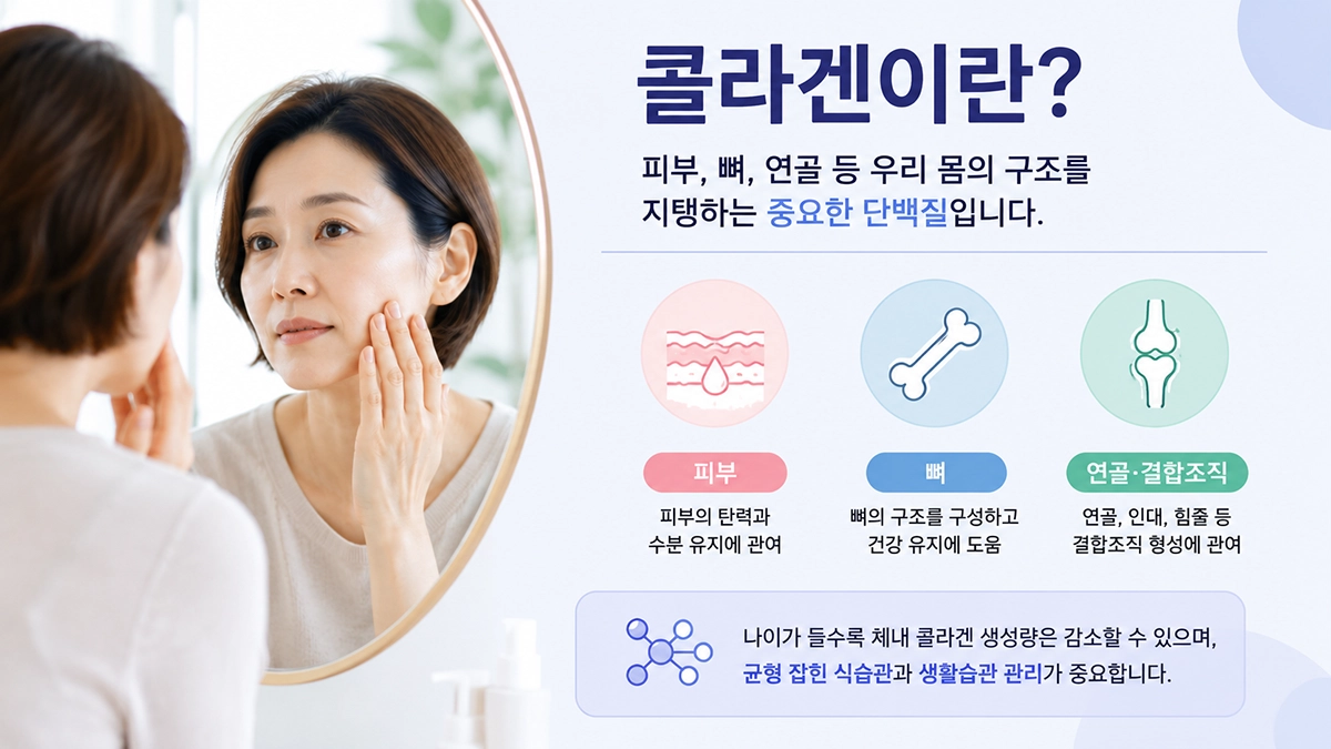 콜라겐의 역할과 피부 건강 관련 기본 개념 설명 이미지