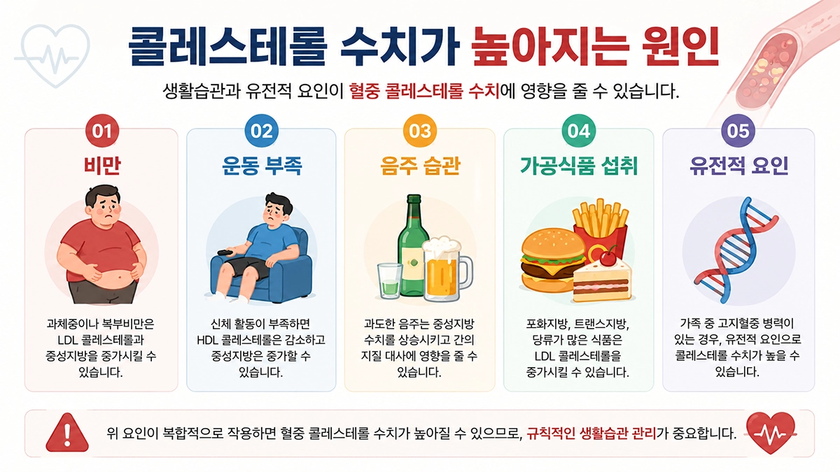 콜레스테롤 수치가 높아지는 원인