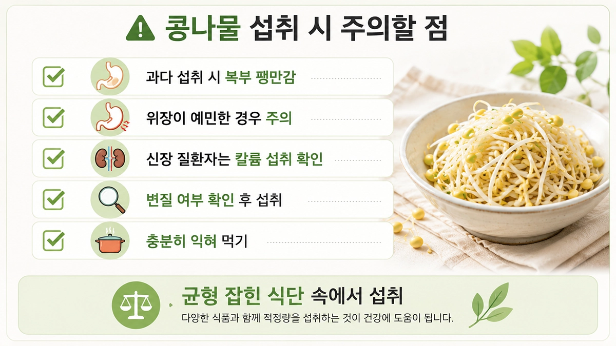 콩나물 섭취 시 알아두어야 할 주의사항 체크리스트