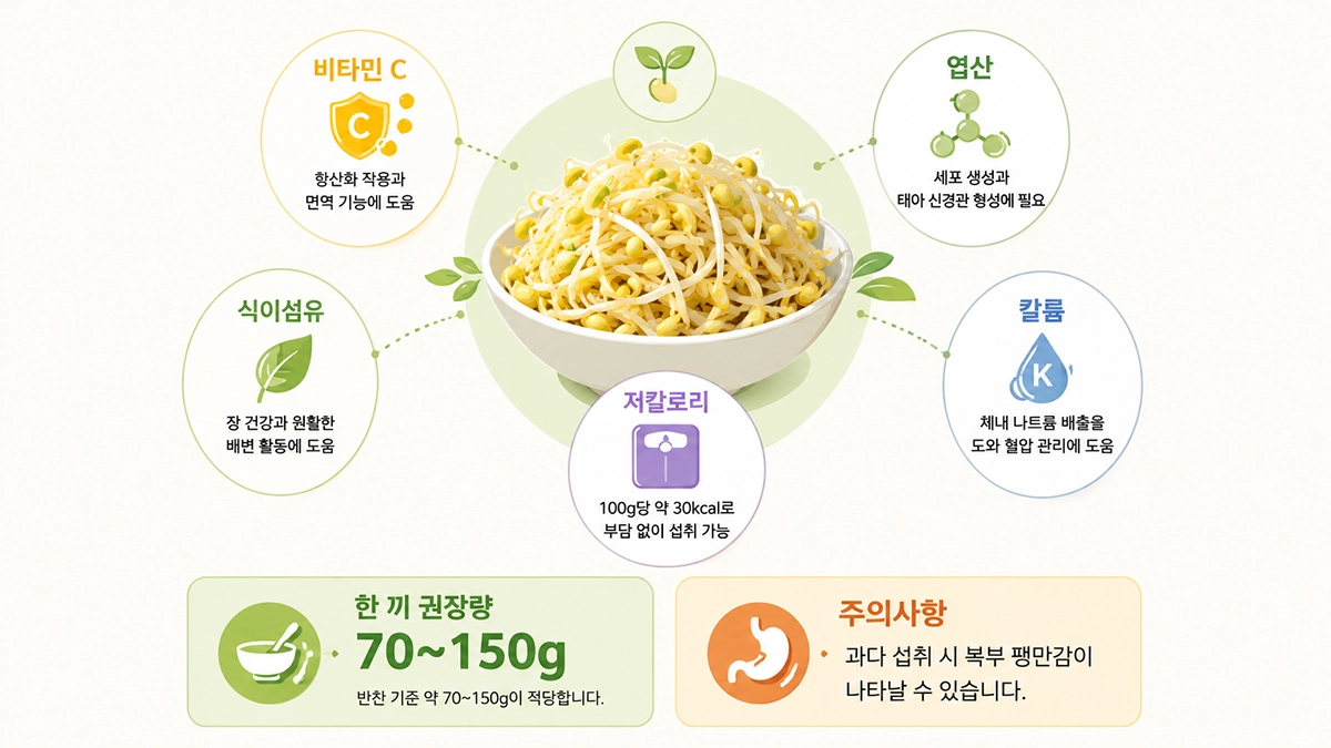콩나물 주요 영양소와 하루 섭취량 요약 인포그래픽