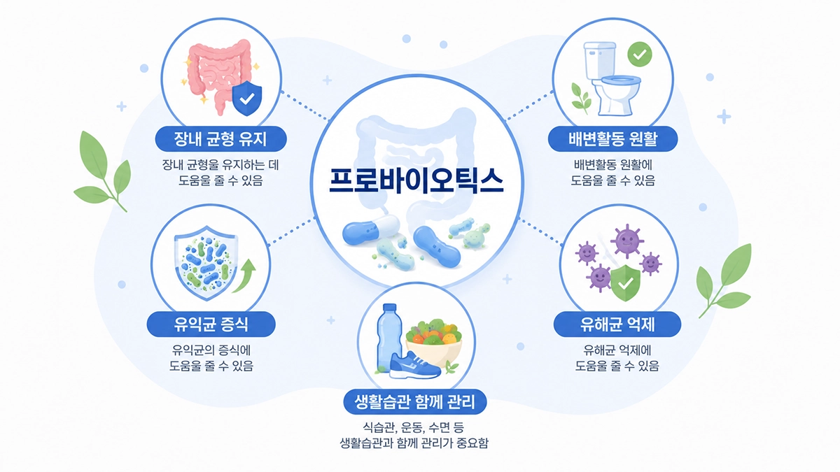 프로바이오틱스의 주요 기능을 정리한 인포그래픽