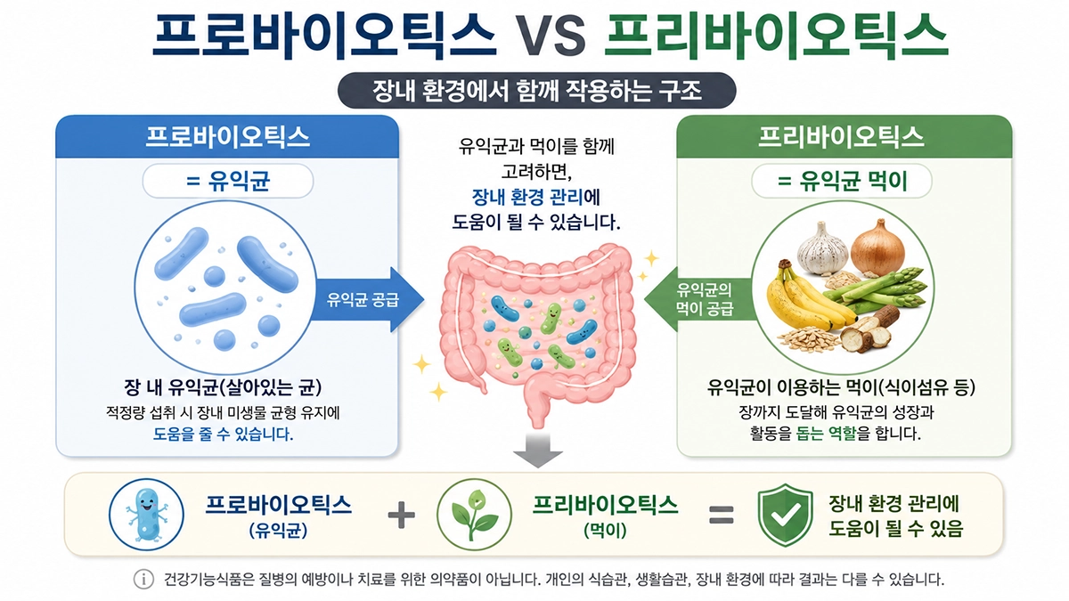 프리바이오틱스와 프로바이오틱스 차이 비교 인포그래픽