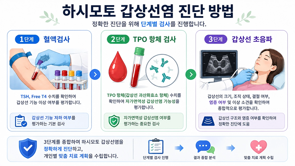 하시모토 갑상선염 진단 검사 과정