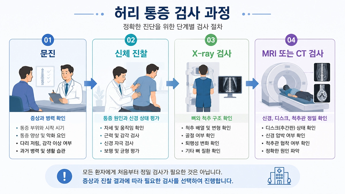 허리 통증 검사 과정 인포그래픽