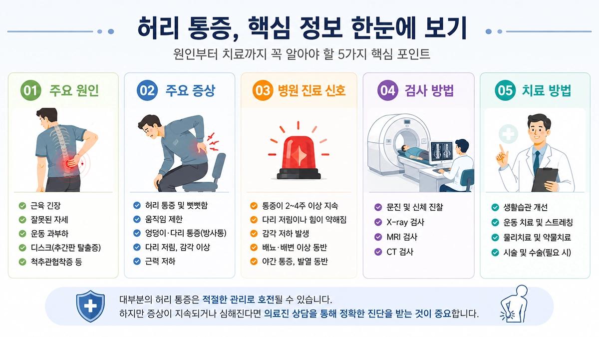 허리 통증 원인 증상 검사 치료 요약 인포그래픽