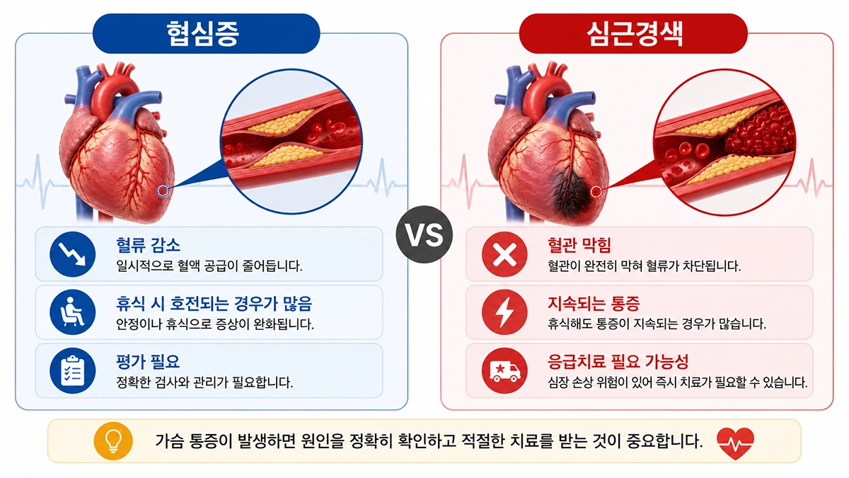 협심증과 심근경색의 차이를 비교한 이미지