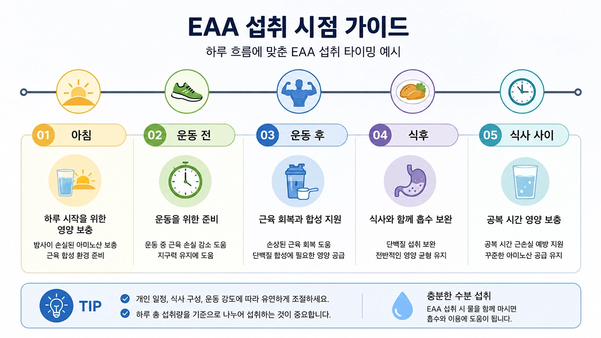 EAA 효과와 운동 전후 섭취 기준을 설명하는 복용시간 인포그래픽