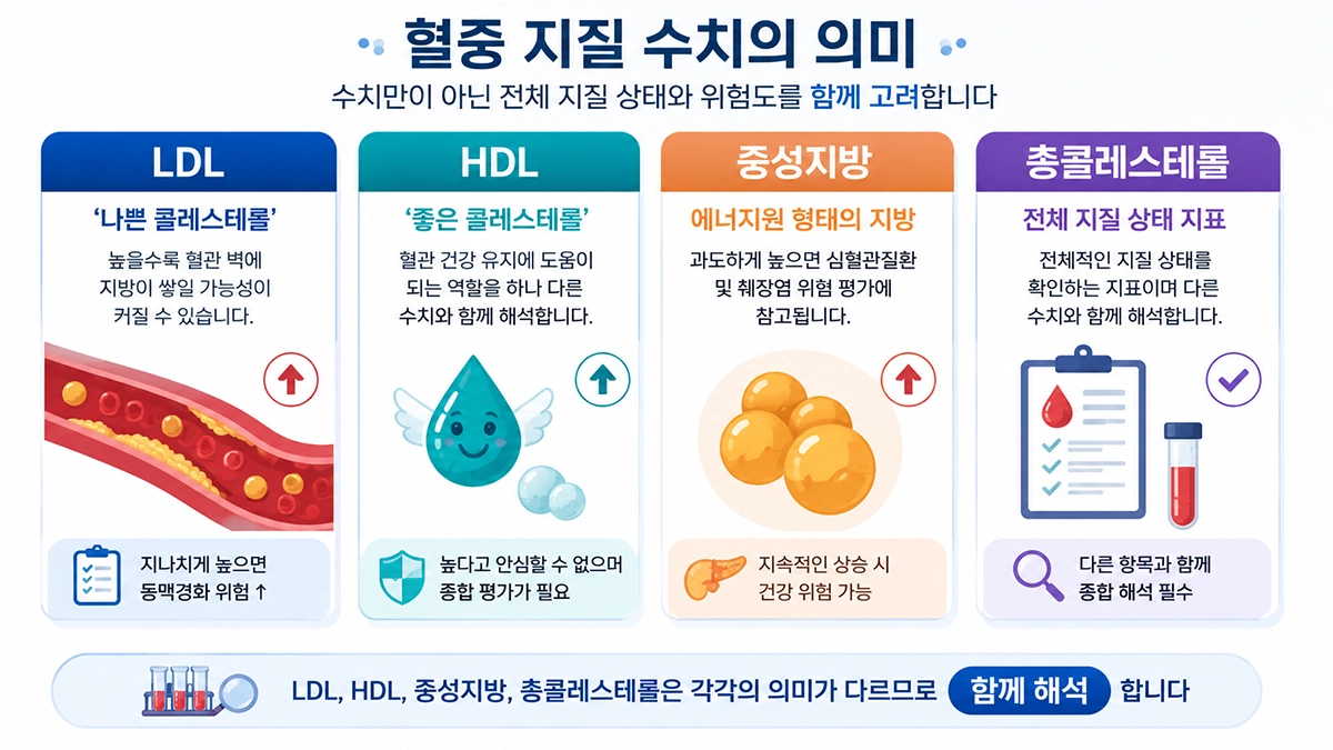 이상지질혈증 기준에서 LDL HDL 중성지방 총콜레스테롤 의미를 비교한 이미지