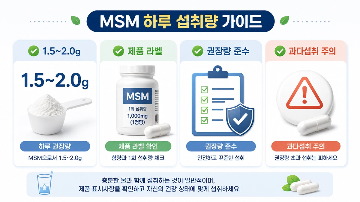 MSM 효능을 위해 확인할 하루 권장량과 섭취 기준 안내 이미지