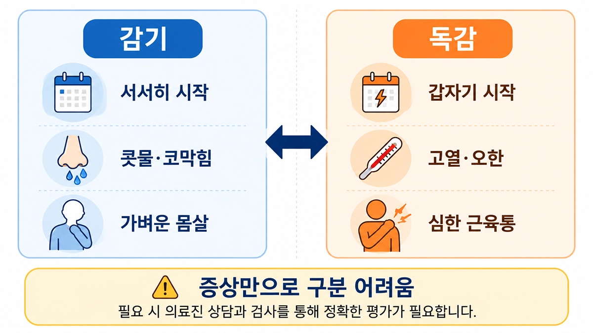독감 증상과 일반 감기의 시작 양상 및 전신 증상 차이를 비교한 인포그래픽
