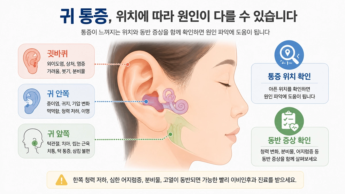 귀 통증이 느껴지는 귀 안쪽과 귓바퀴, 턱관절 주변 위치를 설명한 인포그래픽