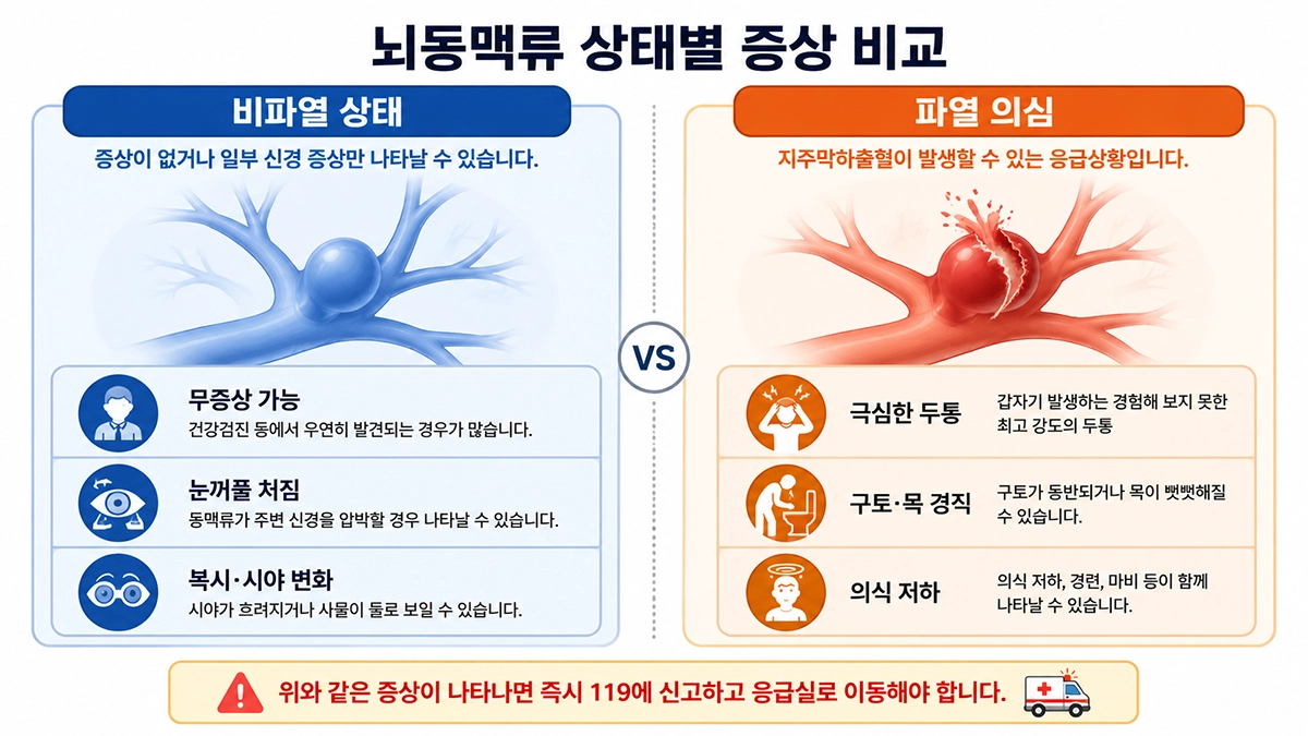 비파열 뇌동맥류 증상과 파열 의심 신호를 비교한 인포그래픽