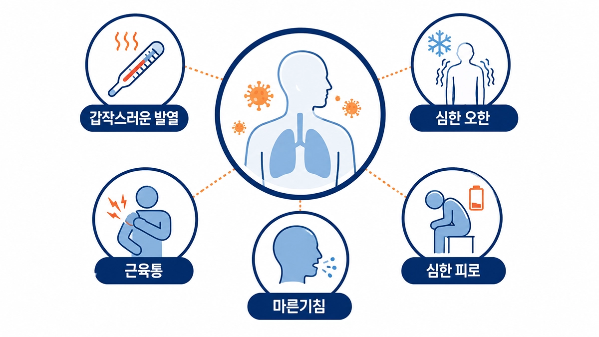 독감 증상으로 나타날 수 있는 갑작스러운 발열과 오한, 근육통, 기침을 정리한 인포그래픽