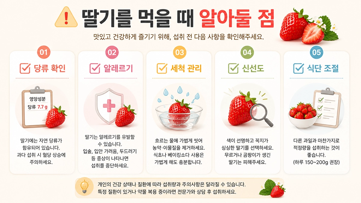 딸기 칼로리와 섭취량을 고려할 때 확인할 주의사항 체크리스트