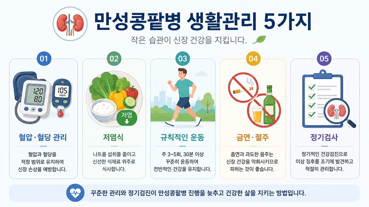 만성콩팥병 증상 생활관리 방법 인포그래픽