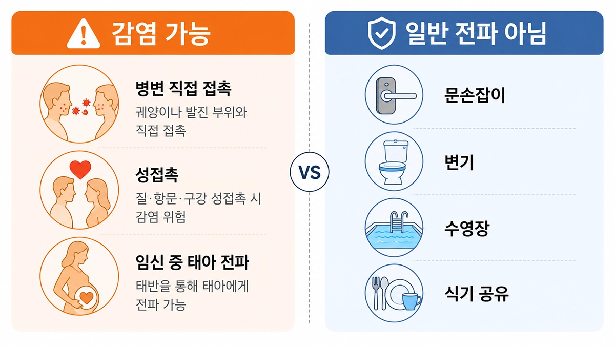 매독 초기 증상과 관련된 주요 감염 경로와 일반적으로 전파되지 않는 일상 접촉 비교