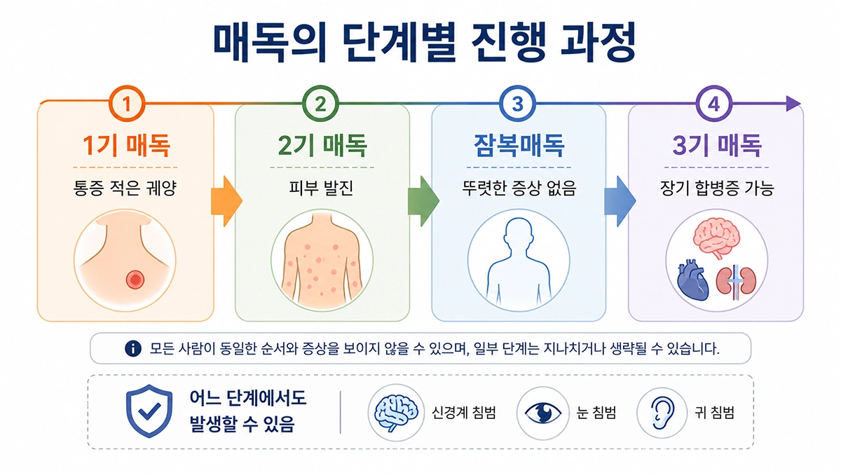 매독 초기 증상부터 2기 발진과 잠복매독, 후기 합병증 가능성까지 나타낸 단계별 과정